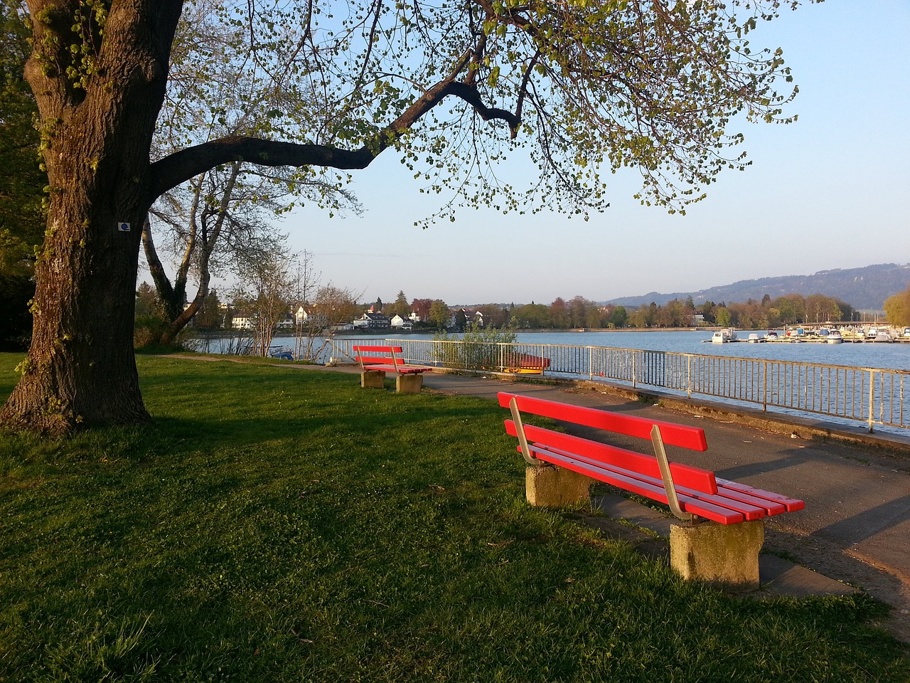 术碰撞的足 术碰撞的足