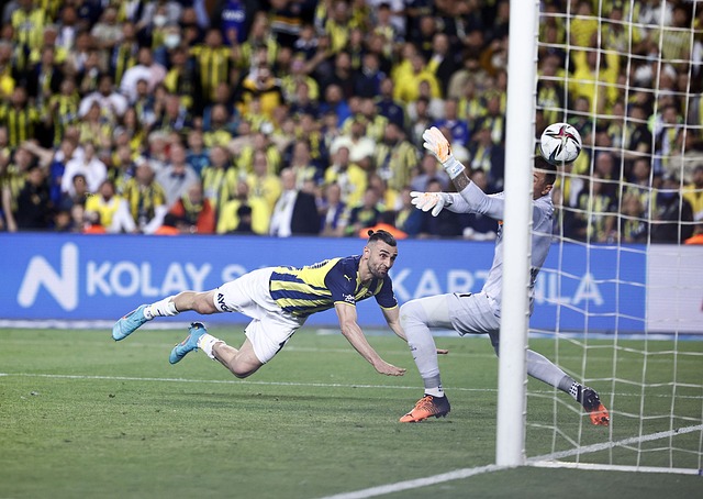 业也因为外 业也因为外