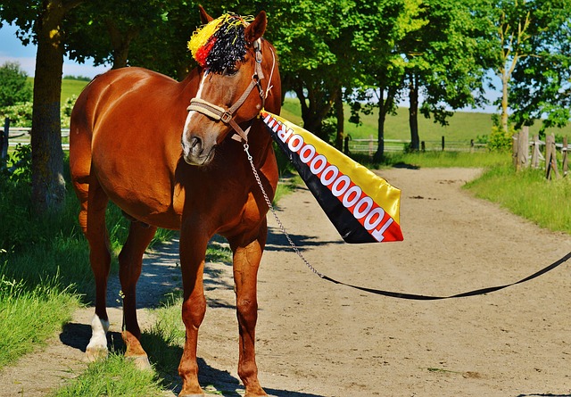 但关键问题 但关键问题