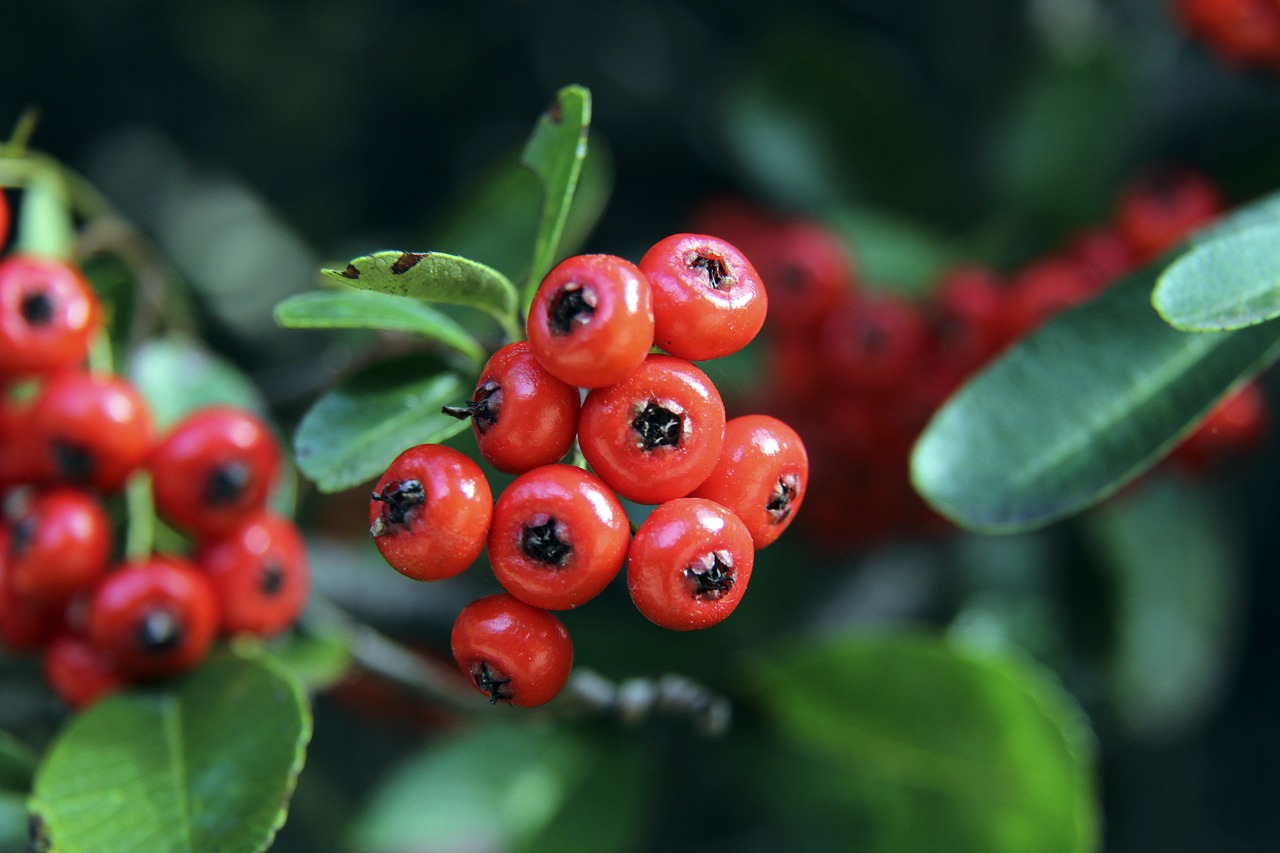 但挑战仍然 但挑战仍然