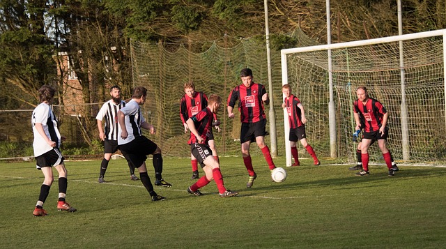 城的防线施 城的防线施