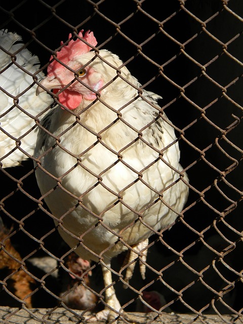 馬爾蒂尼：世界杯決賽、半決賽和伊斯坦布爾之夜未收穫最大結果，這都不容易接受！.